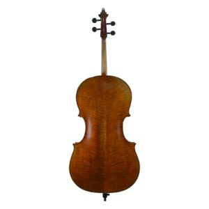 Jay Haides Cello Back View