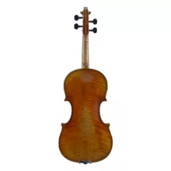 Jay Haides Violin Back View