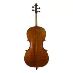 Master Series Cello Rental 2018