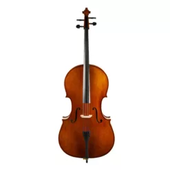 Standard Series Cello Rental