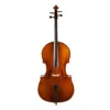 Standard Series Cello Rental 2018