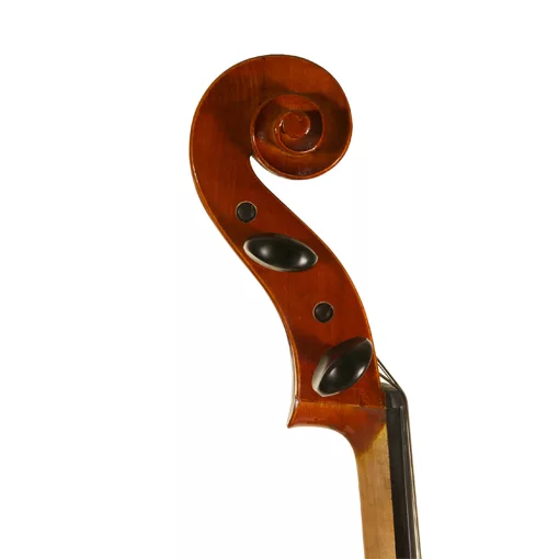 Standard Series Cello Rental