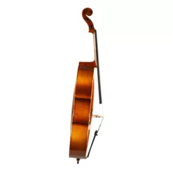 Standard Series Cello Rental 2018
